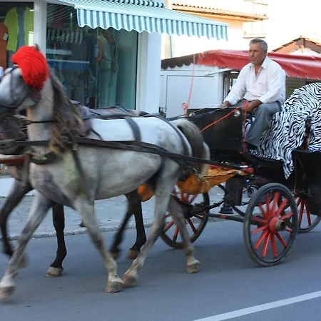 דירה Great Choice צ'רנומורץ