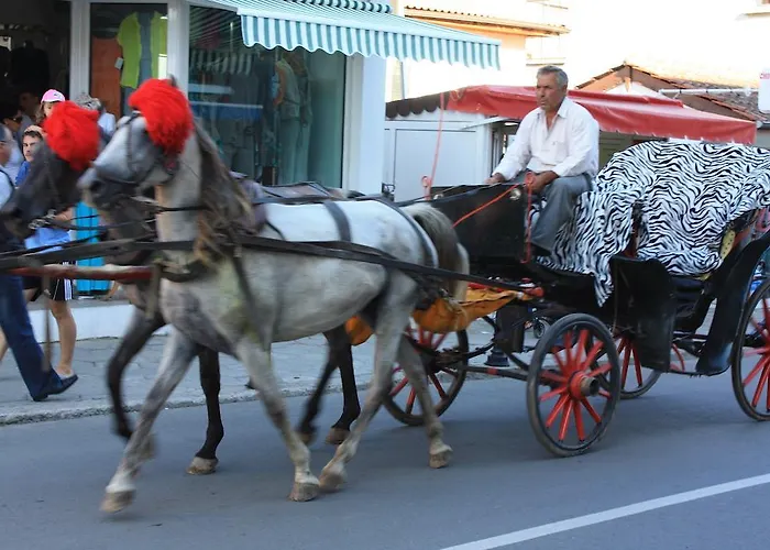 アパート Great Choice チェルノモレツ